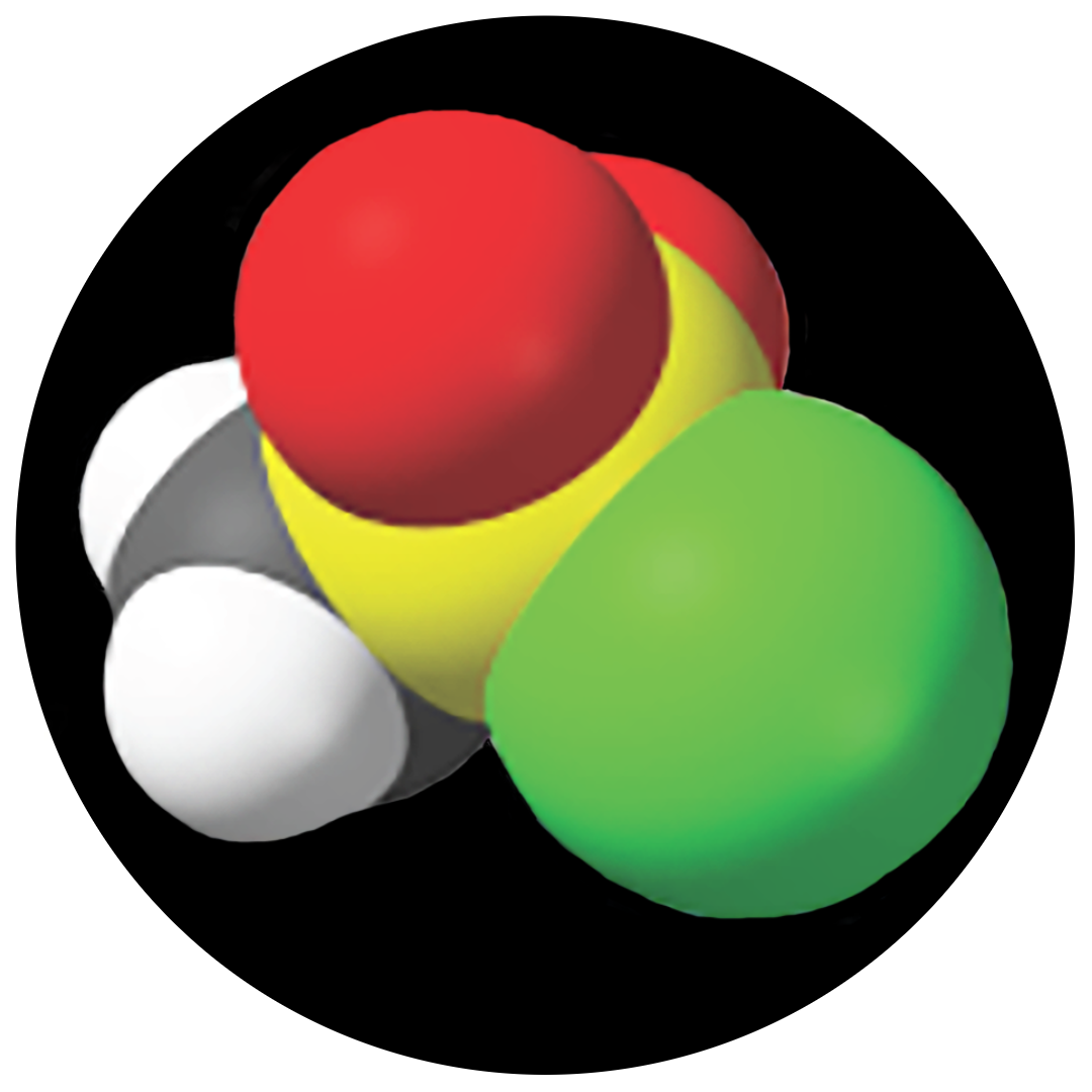 Memory Science Foundation