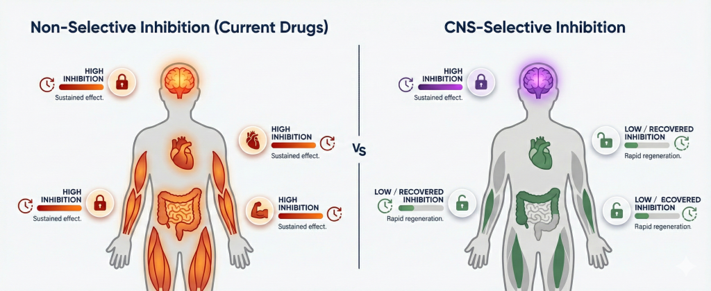 Side-by-side diagram comparing non-selective cholinesterase inhibitors that affect the entire body versus CNS-selective inhibitors that concentrate effects in the brain while sparing peripheral organs